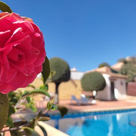 הוילה הורנאצ'ולוס Casa Maleda מראה חיצוני תמונה